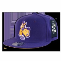 Freshman Fitted U Albany&#44; Purple - Size 7.13