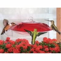 Droll Yankees Inc Window Hummingbird Feeder