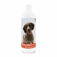 German Shorthaired Pointer Smelly Dog Baking Soda Shampoo