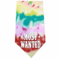 Most Wanted Screen Print Bandana, Tie Dye