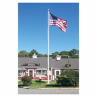 Annin Flagmakers 1072274 20 ft. Commercial Fiberglass Flagpole
