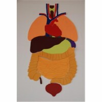 Everrich EVB-0141 27.56 x 13.6 x 4 in. Playing Organs Puzzles