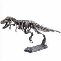 AZ Trading & Import DS501 Dinosaur T-Rex Skeleton Fossil Excavation Kit