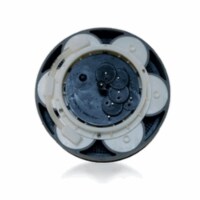 Paramount 004302440600 Four Port Water Module