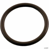 Waterway 805-0219V O-Ring For Poly Storm Jet Retainer