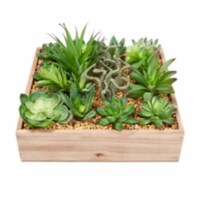 Trademark 50-LG1130 Faux Succulents Assorted Lifelike Plastic Greenery Arrangement with 10 in