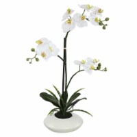 Vickerman FC170701 25 in. White Potted Orchid