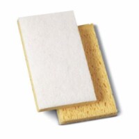 Boardwalk 088-163-20 Light Duty Scrubbing Sponge Pad - Case of 20