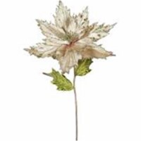 Vickerman OF160938 26 in. Champagne Poinsettia Flower
