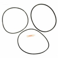 Alakit APCK1122 Sta-Rite PTM70 & 100 O-Ring Kit