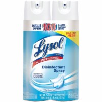 Reckitt Benckiser RAC99608CT 0.15 gal Lysol Linen Disinfectant Spray - Pack of 2