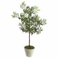 Vickerman FK171203 27 in. Olive Hill Tree with Container