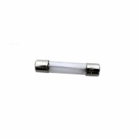Balboa Water Group BB21581 0.3 amp & 250V MDL Series Miswire Fuse
