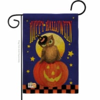Breeze Decor BD-HO-G-112069-IP-DB-D-US17-AM 13 x 18.5 in. Owl Sitting on Jack-O-Lantern Burla