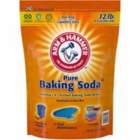 Church & Dwight CDC3320001931 192 oz Arm & Hammer Pure Baking Soda - Pack of 4