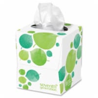 Seventh Generation SEV13719CT 2-Ply Facial Tissue- 85 Per Count
