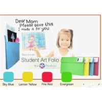 Star ST816-YEL 14 x 20 x 2 in. Student Art Folio, Lemon Yellow