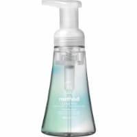 Method Products MTH01854CT 10 fl oz Coconut Water Foam Hand Wash - Coconut Water Scent