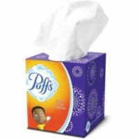 Procter & Gamble PGC84405CT Gamble Everyday Facial Tissues, White - Pack of 24