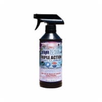 Spa Parts TS-010 16 oz Triple Action Spa Spray Cleaner