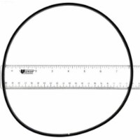 Paramount 005302010000 Valve Base O-Ring