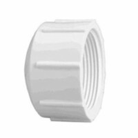 Baystate PV448010 1 in. Femal Pipe Thread Cap 40 Schedule