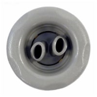 Waterway WW2298127B 5-Scallop Twin Roto Thread In Poly Storm Gunite Jet Internals, Gray