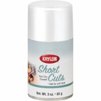 Krylon® Short Cuts® Gloss Spray Paint - White
