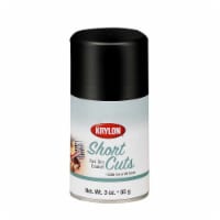 Krylon® Short Cuts® Gloss Spray Paint - Black