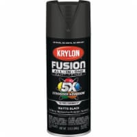 Krylon® All-In-One™ Matte Paint & Primer - Black