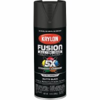 Krylon® All-In-One™ Matte Paint & Primer - Black