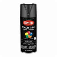 Krylon® ColorMaxx Gloss Black Indoor/Outdoor Spray Paint and Primer