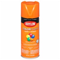Krylon® Colormaxx Gloss Pumpkin Orange Spray Paint & Primer