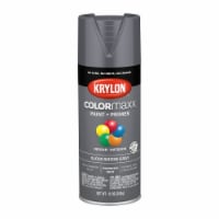 Krylon® ColorMaxx Indoor/Outdoor Gloss Smoke Gray Spray Paint and Primer