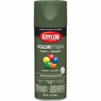 Krylon® ColorMaxx Indoor/Outdoor Satin Italian Olive Paint and Primer Perspective: Main