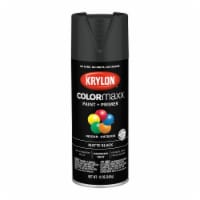 Krylon® ColorMaxx® Matte Black Indoor/Outdoor Spray Paint + Primer