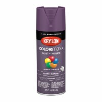 Krylon® ColorMaxx Matte Eggplant Indoor/Outdoor Spray Paint + Primer