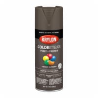 Krylon® ColorMaxx Matte Coffee Bean Indoor/Outdoor Spray Paint + Primer
