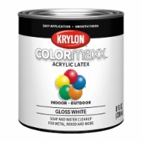 Krylon® ColorMaxx™ Acrylic Gloss White Latex Paint