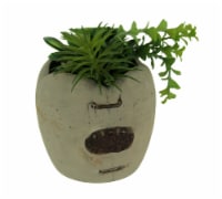 Artificial Succulents in Rustic Apple Shaped Wood Planter
