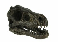 Velociraptor Dinosaur Head Fossil Statue Small 6.25 Inches Long