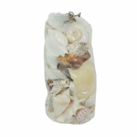 3 Pound Bag Full of Mixed Seashells Decorative Filler Clam, Scallop, Cone Shells
