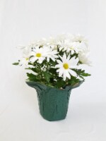 White Mum with Seasonal Pot (Approximate Delivery is 2-6 Days)