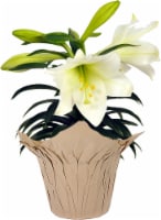Easter Lily - 4 inch pot