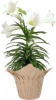 Easter Lily - 6 inch pot