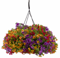 Confetti™ Hawaiian Luau Hanging Flower Basket Perspective: Main