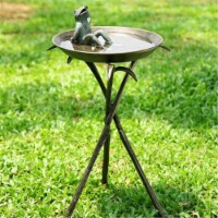 SPI Home 33563 Cool Frog Birdbath