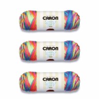 Caron Simply Soft Rainbow Bright Paints Yarn - 3 Pack of 141g/5oz - Acrylic