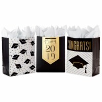 Hallmark  Graduation Gift Bags Assortment with Tissue Paper Large Perspective: Main
