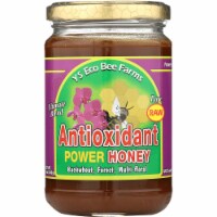 Y.S. Eco Bee Farms Raw Antioxidant Power Honey 13.5 oz Paste Perspective: Main